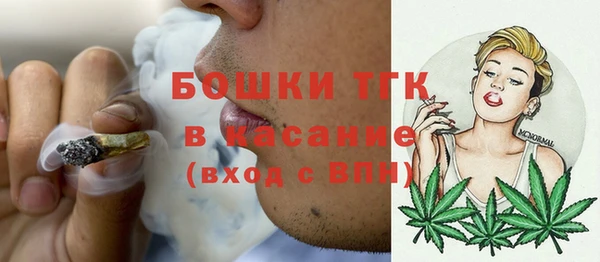 прущие грибы Армянск