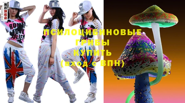 твердый Арсеньев