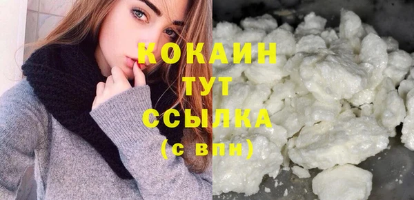 твердый Арсеньев
