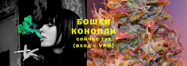 прущие грибы Армянск
