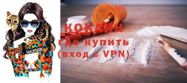 твердый Арсеньев